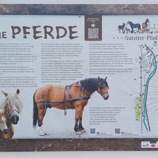 Station: Pferde