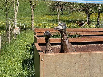Photo de Helga Kocsi le long du parcours