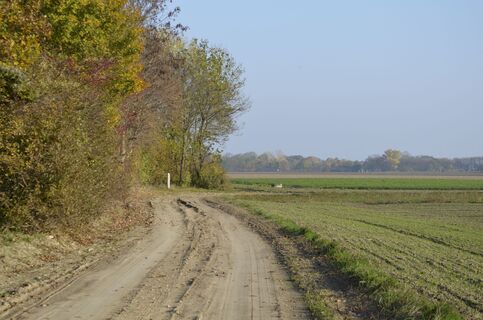 Rechts abbiegen