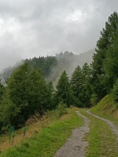 Zdjęcie z Bettina Miller 1 wzdłuż trasy