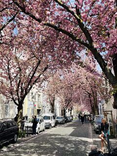 Heerstraße, Bonner Nordstadt