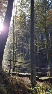 Foto von Martina Bürkle entlang der Tour