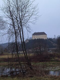 Foto de Mimi a lo largo del recorrido