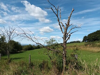 Zdjęcie z Gürtler Lubomir wzdłuż trasy