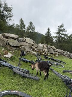 Foto von Petra Velenosi entlang der Tour