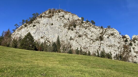Fotografia z DaGeorg na trase