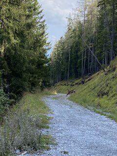 Fotó a Sabine KREUTER honlapról a túra során