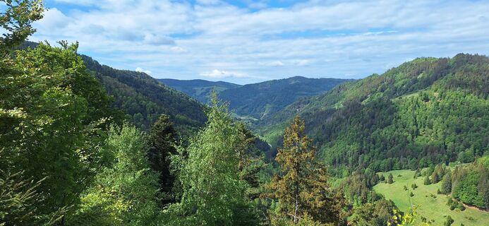Fotografia z Alois Höltschi na trase