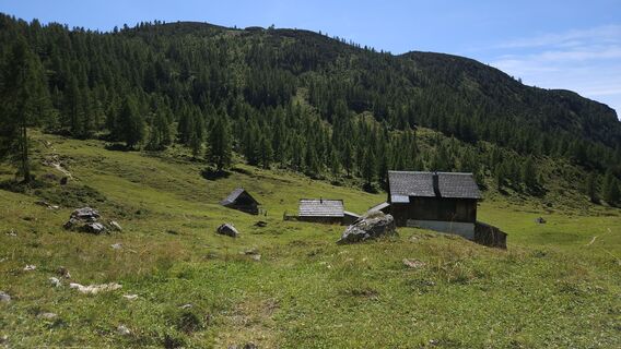 Foto från kriessda under resans gång