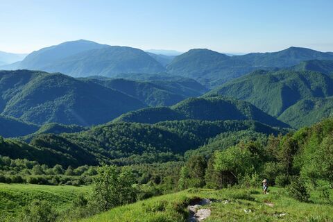 Beginn der grasbewachsenen Hänge oberhalb der Waldgrenze; in der Ferne Matajur.
