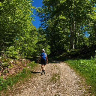 Wandern auf dem Rundweg "La Ronde des Plans" in Les Plans d'Hotonnes