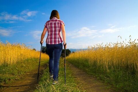 gemütlicher Spaziergang am Kammerholzweg