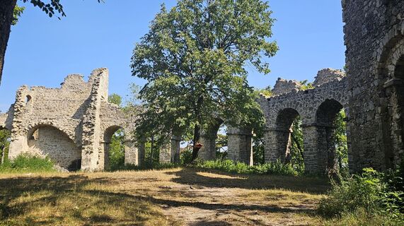 Zdjęcie z Paula Heichinger wzdłuż trasy