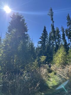 Fotografie de la Bernhardmoser1 de-a lungul turului