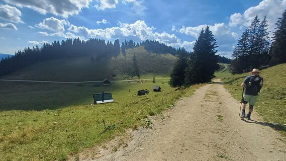 Foto de Gugans a lo largo del recorrido