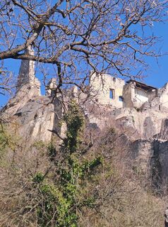 Photo de Johanna Bachlechner le long du parcours