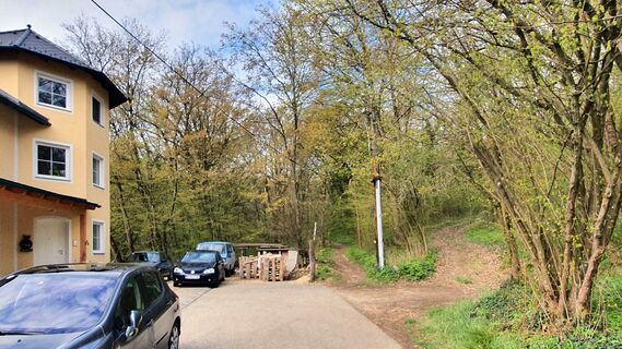 2.5 km Fasanhaussingle gerade
