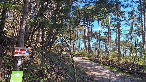 Foto von Susanna Sunk entlang der Tour