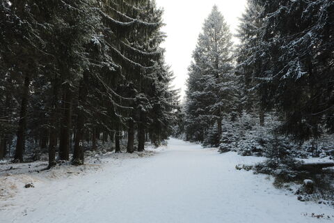 Foto da Christian Leube lungo il tour