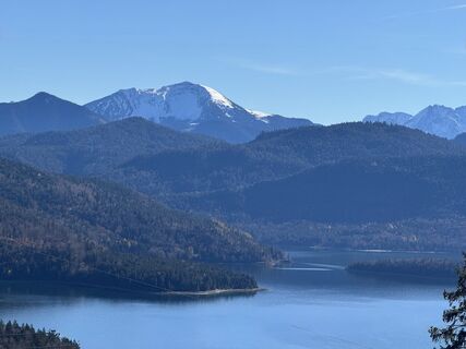 Foto da Denise Miller lungo il tour