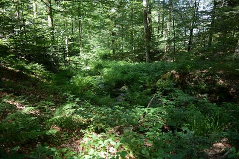 Trekking-Camp Erdbeerloch