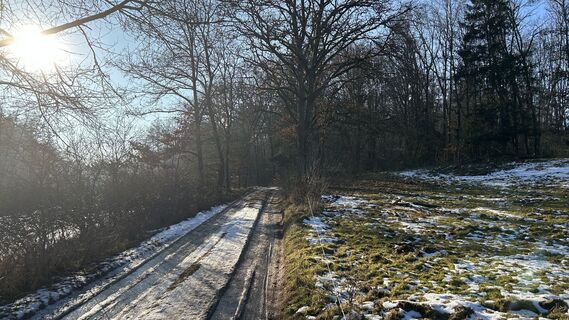 Photo de Matthias G74 le long du parcours