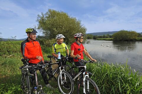 Radler an der Donau