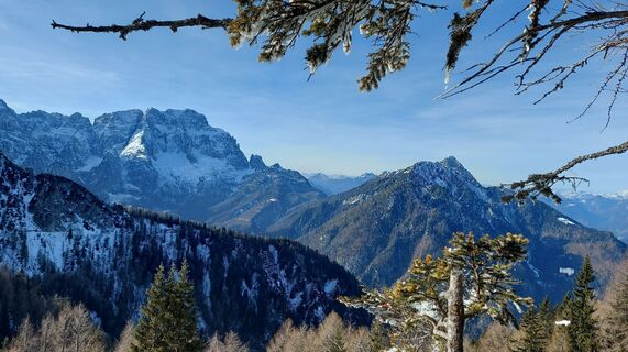 Foto från Josef Mikl under resans gång
