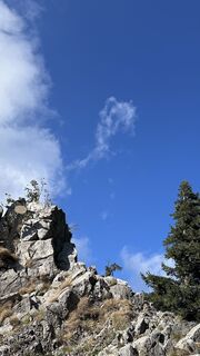 Foto von Mountain Cat ? ⛰️ entlang der Tour