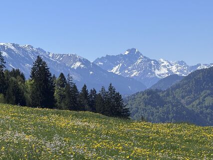 Foto von Denise Miller entlang der Tour