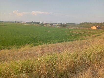 Photo de simone ravasi le long du parcours