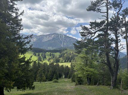 Fotografie de la Robert Kremlicka de-a lungul turului