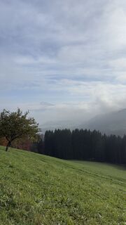 Фото с сайта Viktoria во время экскурсии