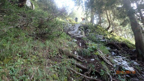 Aufstieg im Seebergwald