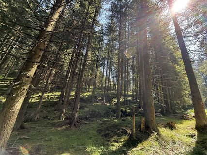 Fotografia z Hermann Czerweny na trase