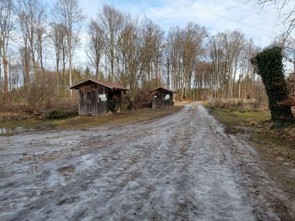 Photo de Felix le long du parcours