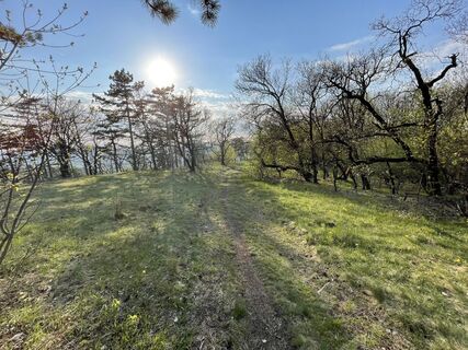 Fotó a Levente Tóth 1 honlapról a túra során