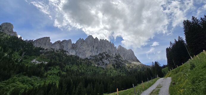 Foto von Jarvis entlang der Tour