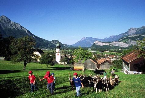 Stiefelgeissen ob Vilters