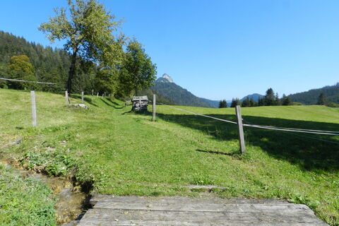 Der Weg ist von Beginn an gut markiert, geht anfangs durch einen Hof, dann kurz über eine Wiese und führt bald in den Wald.