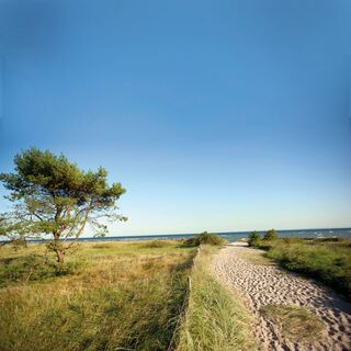 Lensterstrand