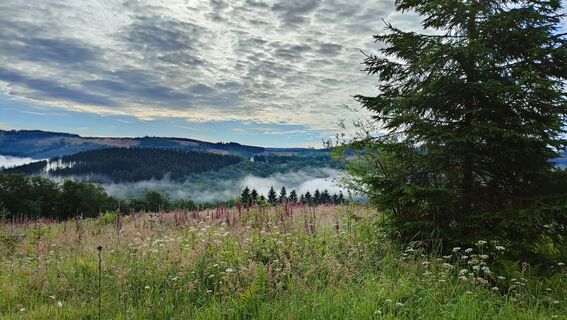 Ausblick von der Kophelle Richtung Kohlhagen