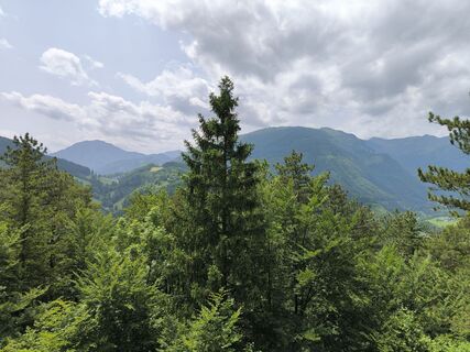 Foto fra DH undervejs på turen