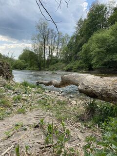 Wutach