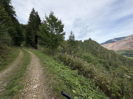 Photo de Bienentratsch le long du parcours