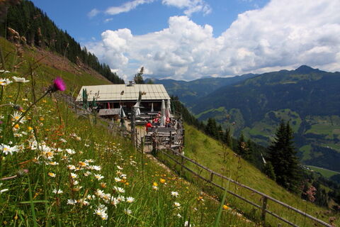 Viehhausalm
