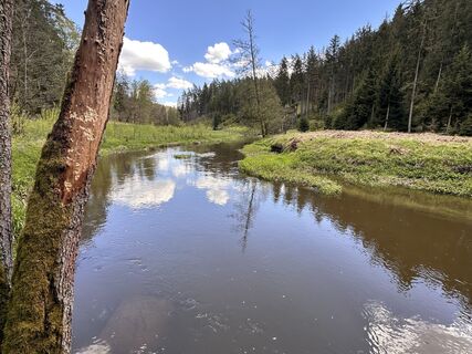 Foto de Norbert Herbig a lo largo del recorrido