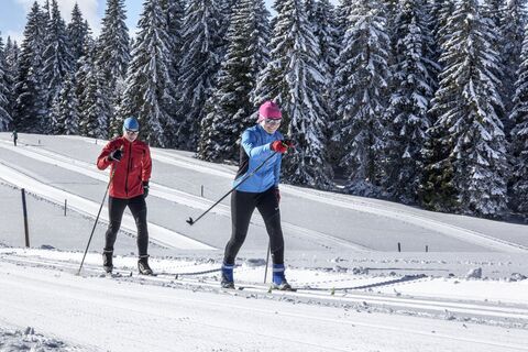 Langlauf klassisch
