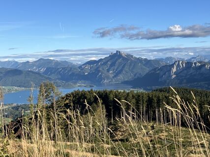 Foto von Meinrad Föger entlang der Tour