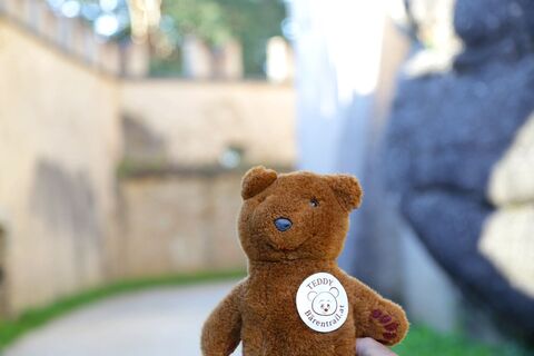 Teddybärentrail